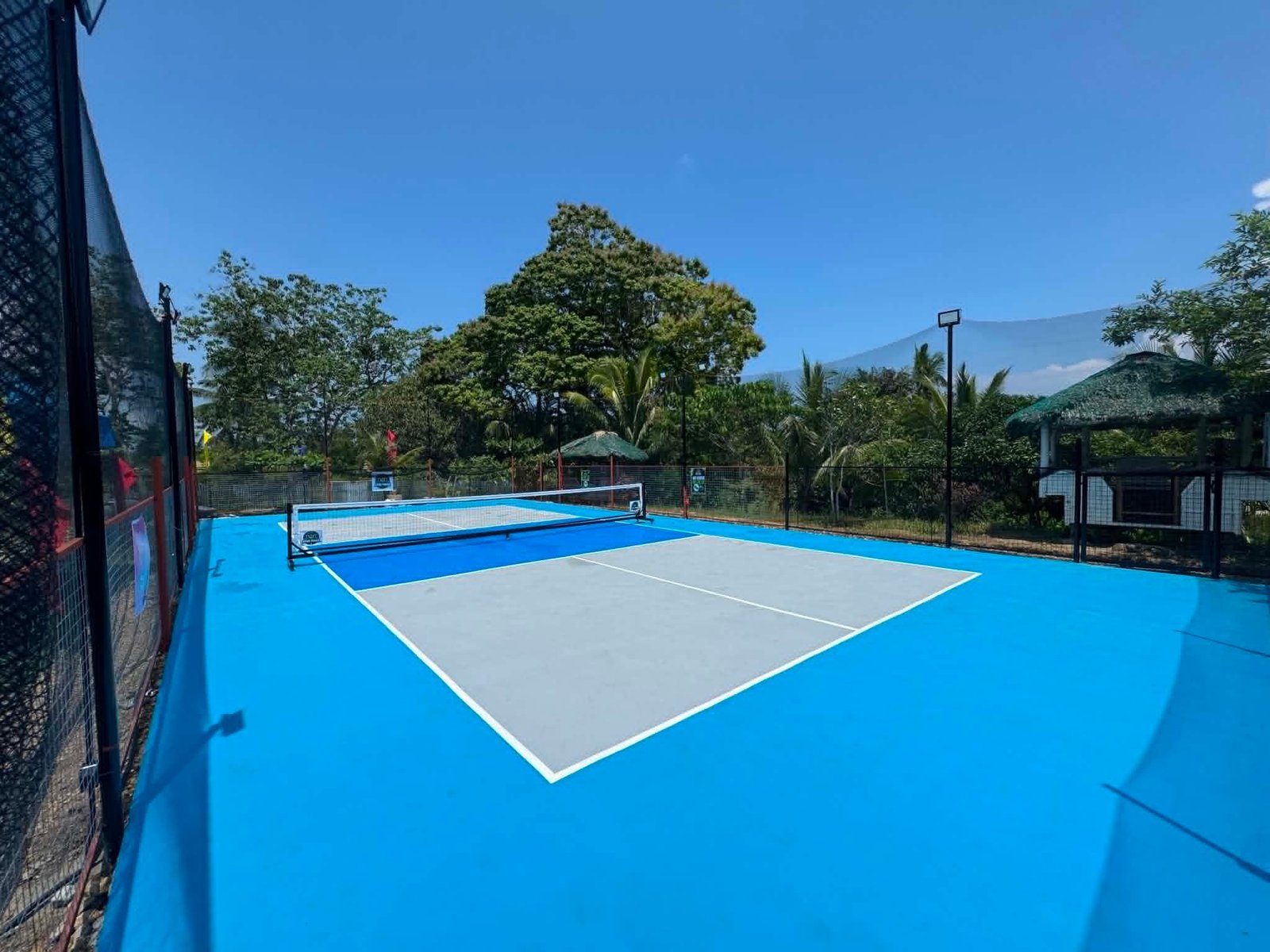 Court image